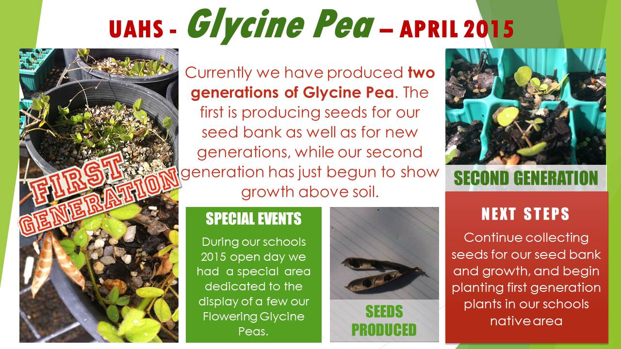 for seed project april