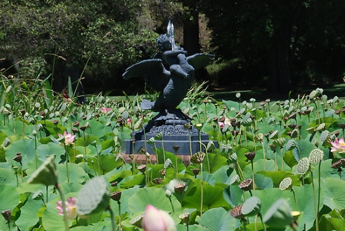 Generic placeholder image